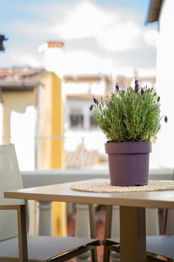 Olive Loft Leilighet Firenze Eksteriør bilde